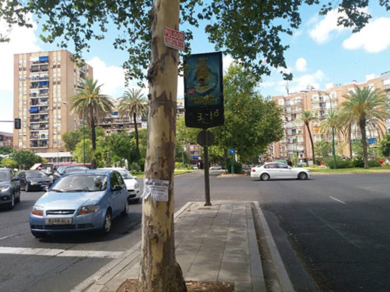 Vehículos circulando por una calle urbana con edificios residenciales y árboles alrededor.