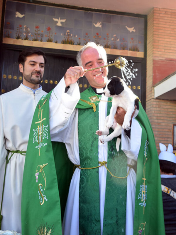 Un sacerdote bendice a un perro en una ceremonia religiosa.