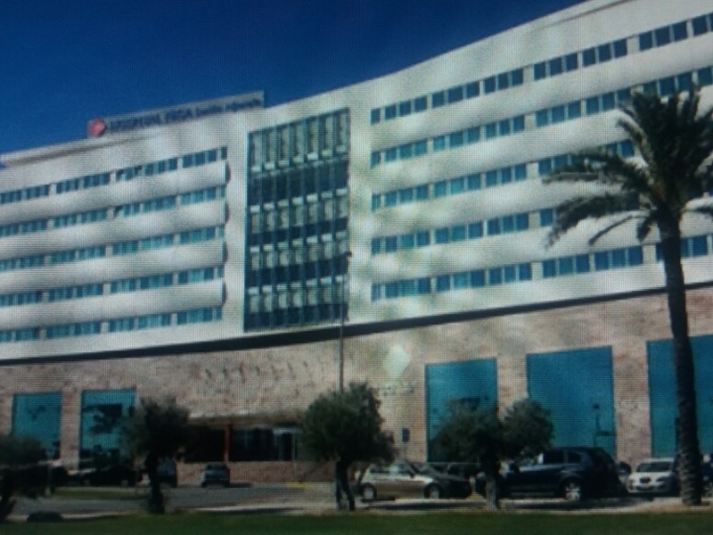Edificio moderno con fachada de vidrio y piedra, frente a un cielo azul claro y palmeras.