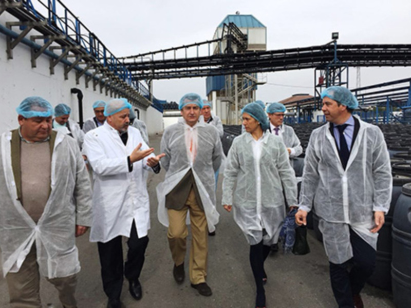 Un grupo de personas en ropa de protección caminan por una instalación industrial.
