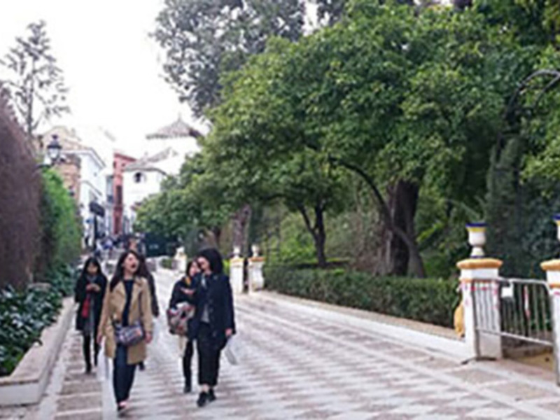Personas caminando por una calle adoquinada con árboles y arbustos bien cuidados, en un entorno urbano con edificios antiguos y detalles decorativos.