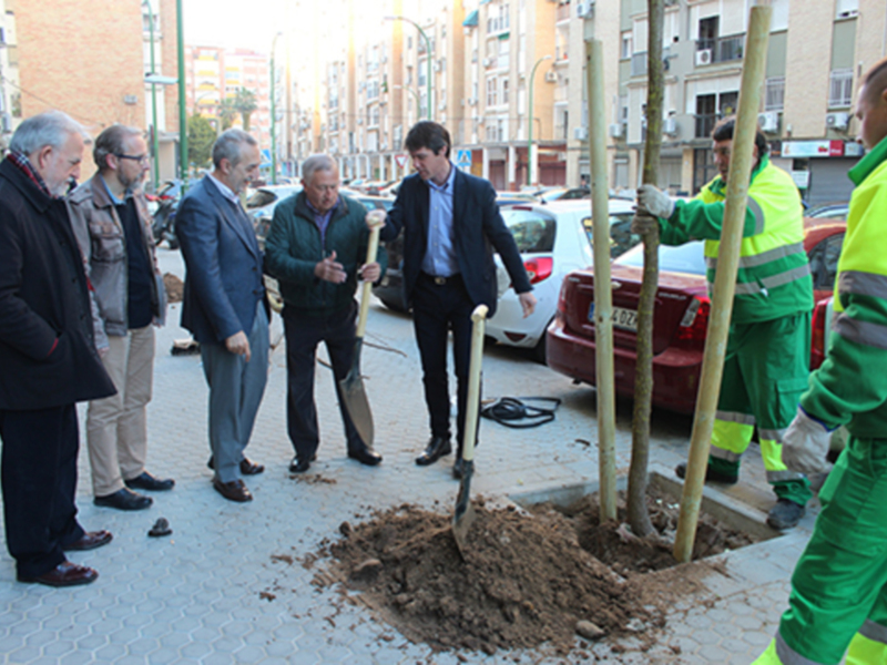 Inauguración de la plantación de árboles en la calle principal de la ciudad.