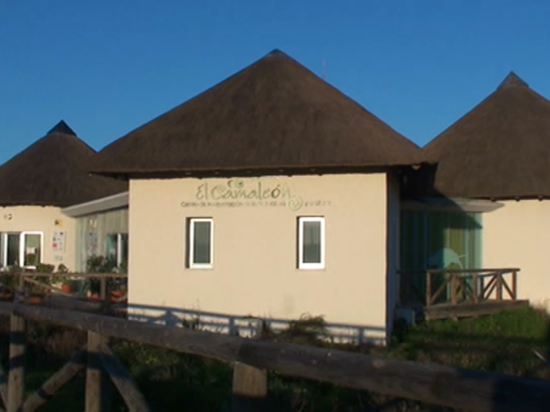 Resort con estructuras de techo de paja y fachadas blancas, ubicado en un entorno natural con senderos de madera.