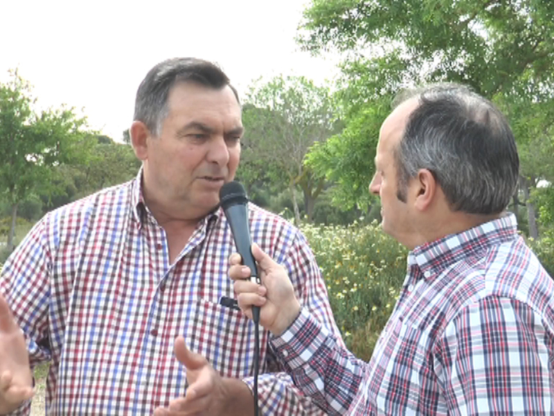 Entrevista al aire libre con un fondo de naturaleza verde.