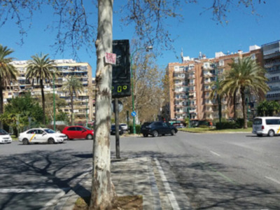 Vandalismo en el arbolado de Sevilla