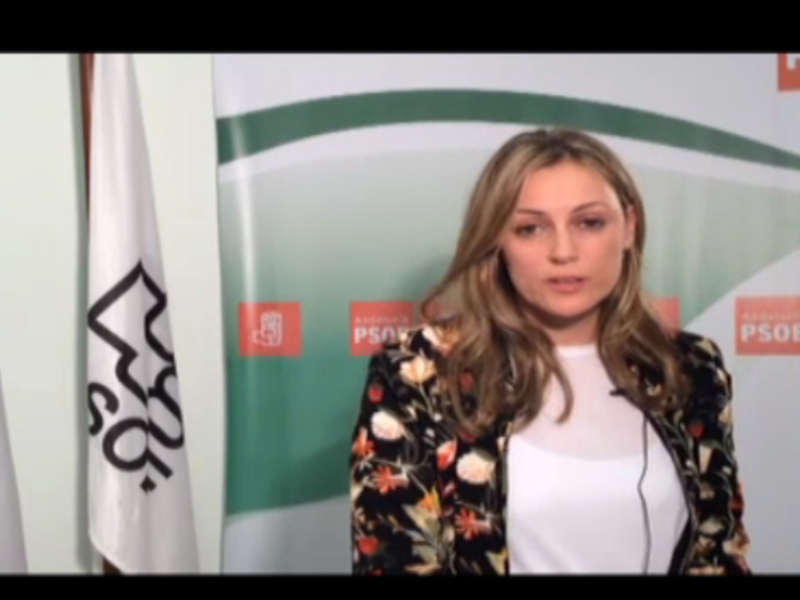Una mujer habla en una conferencia de prensa en el fondo de una bandera y una pancarta del PSOE.