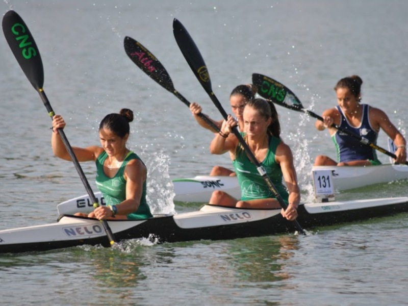 Equipo de canoas en competición, remando con fuerza en el agua.