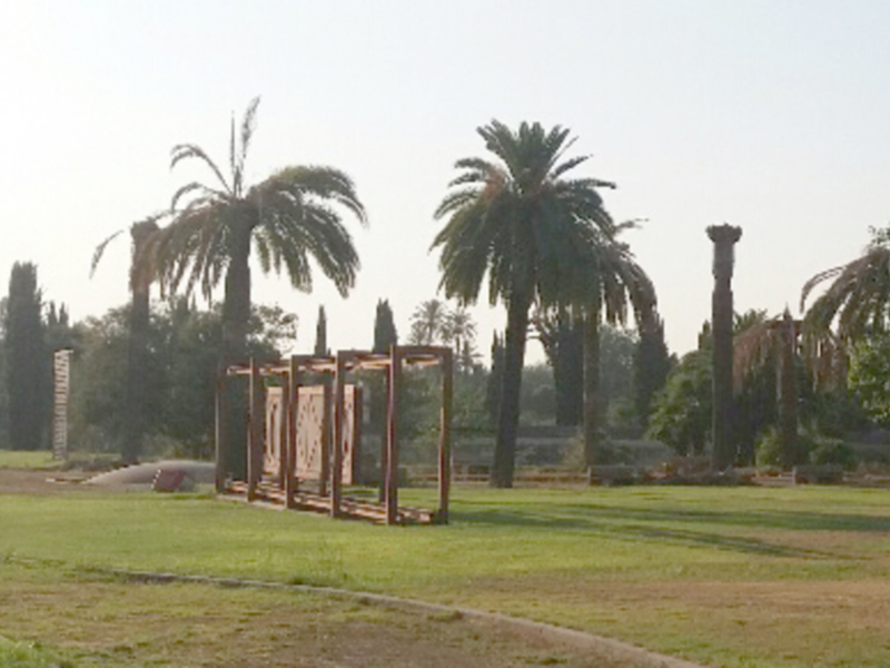 Áreas verdes con palmeras y estructuras metálicas en un parque.
