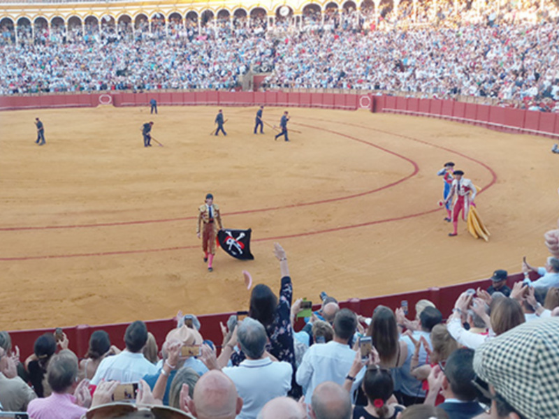 Toros en la plaza de toros de Pamplona, España. El público disfruta de la corrida de toros, mientras que los toreros se preparan para el combate.