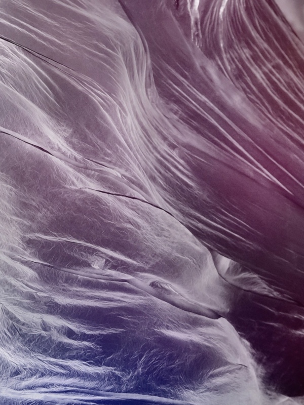 Detallada textura de plumas en tonos violeta y blanco, creando un patrón abstracto y fluido.