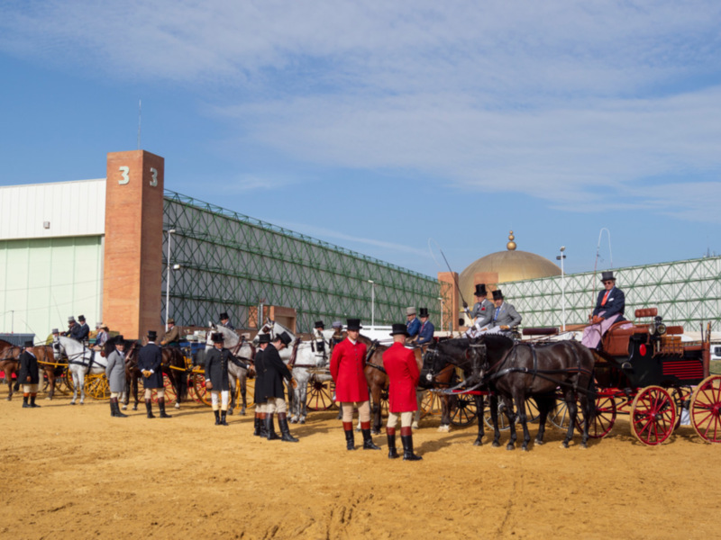 Elegantes carruajes de caballos y uniformes tradicionales en un evento al aire libre.