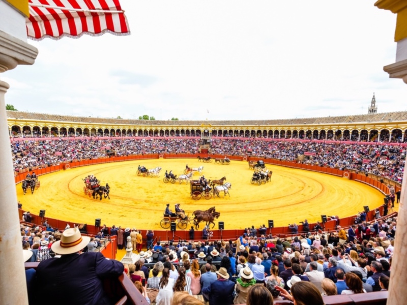 Gran finale de una carrera de carruajes en una arena histórica, con caballos y carruajes en el centro, y espectadores en las gradas.
