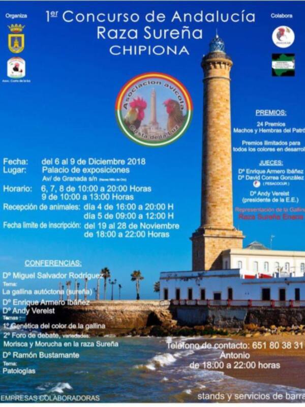 1er Concurso de Raza Sureña en Chipiona, del 6 al 9 de Diciembre 2018, en el Palacio de Exposiciones, con conferencias y premios ilimitados.