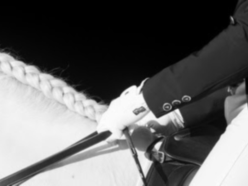Jinete en blanco y negro, sosteniendo las riendas de un caballo blanco.
