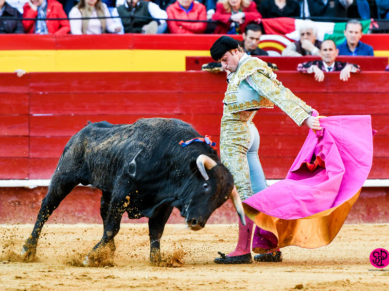 Torero en acción durante una corrida de toros, con el toro en el centro y el público en el fondo.