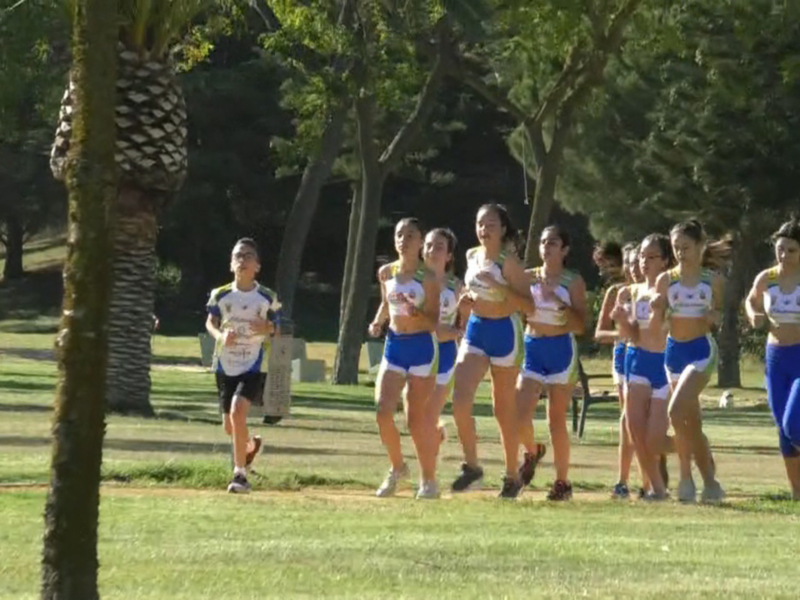 Un grupo de atletas corriendo en un parque soleado, rodeados de árboles y vegetación.
