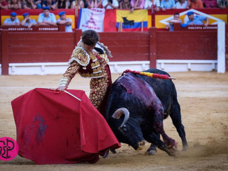 Un torero lidiando un toro en una corrida de toros, con el público en el fondo.