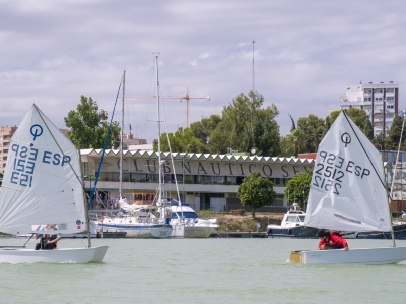 Competición de vela en el Club Náutico de Sevilla con barcos a vela en el agua y edificios al fondo.