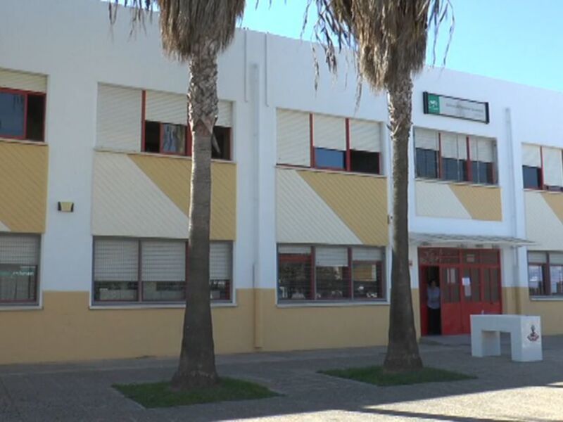 Fachada de un edificio con ventanas y palmeras en el frente, en un entorno urbano con cielo azul claro.