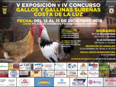 Chipiona acoge desde hoy la V Exposición y el IV Concurso de Gallos y Gallinas Sureñas Costa de la Luz.