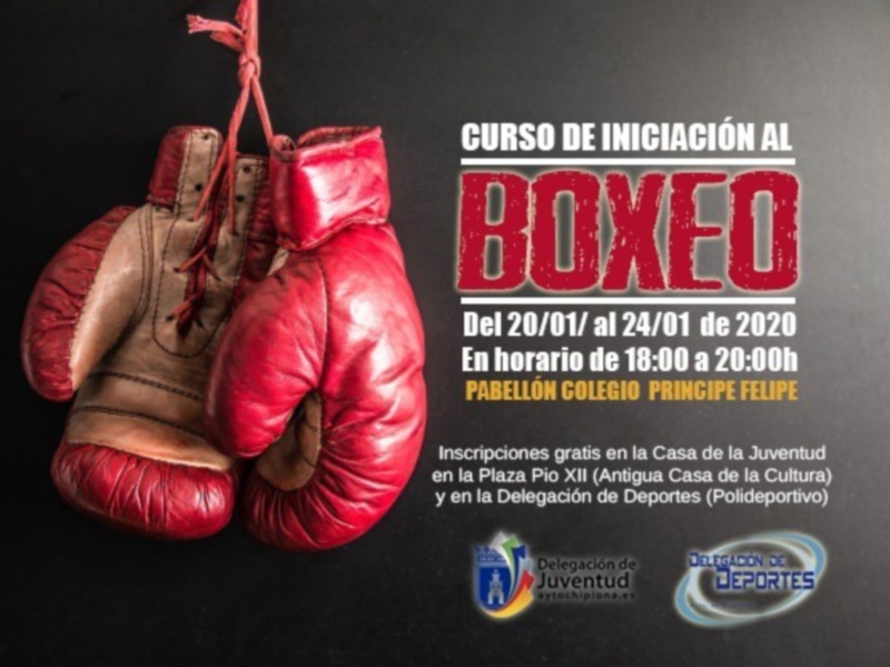 Iniciación al Boxeo: Curso gratuito en Casa de la Juventud, Pabellón Colegio Príncipe Felipe, y Delegación de Deportes.