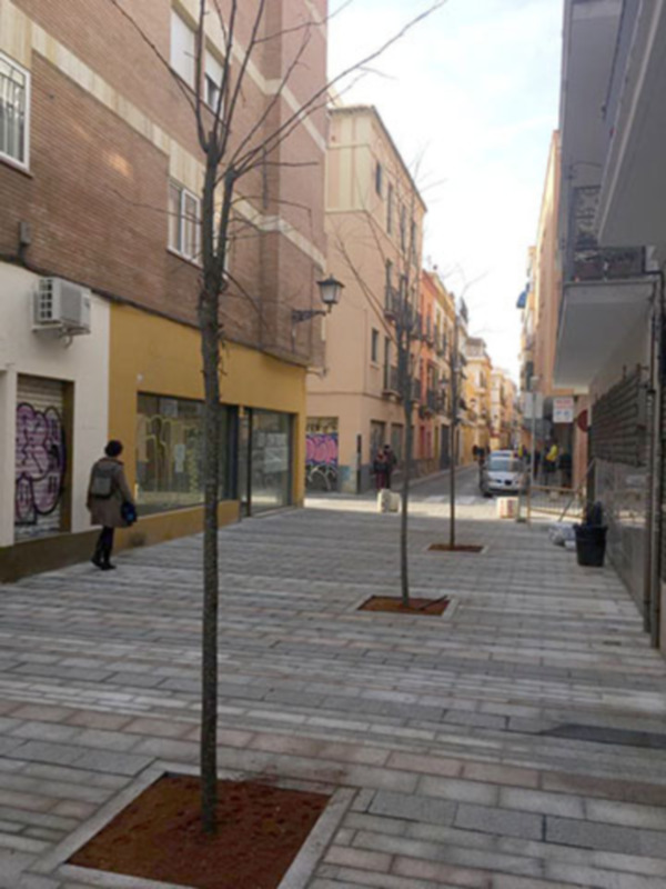 Un callejón de una ciudad con edificios de dos plantas, árboles sin hojas y una persona caminando.