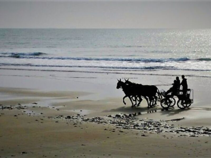 Silueta de una carreta tirada por caballos en la playa, con el mar en el fondo.