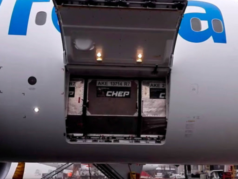 Carga de carga en un avión de pasajeros en un aeropuerto con el nombre de la aerolínea visible en el fondo.