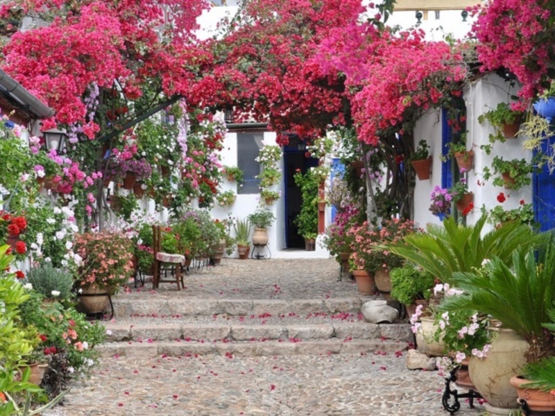 Callejón decorado con flores y plantas, típico de la región andaluza.