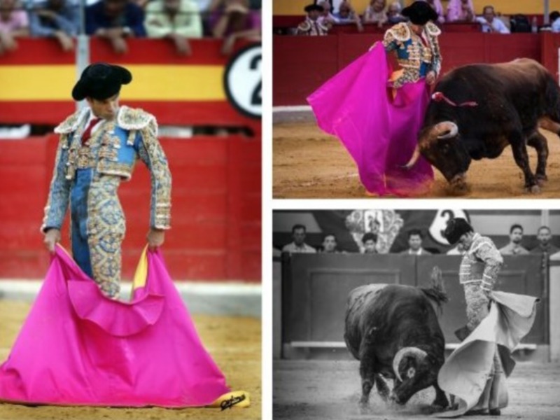 Imágenes de una corrida de toros, donde un torero con traje tradicional y capa de color rosa se enfrenta a un toro negro en un anfiteatro de arena. El toro muestra una postura agresiva, mientras que el torero se prepara para el combate.