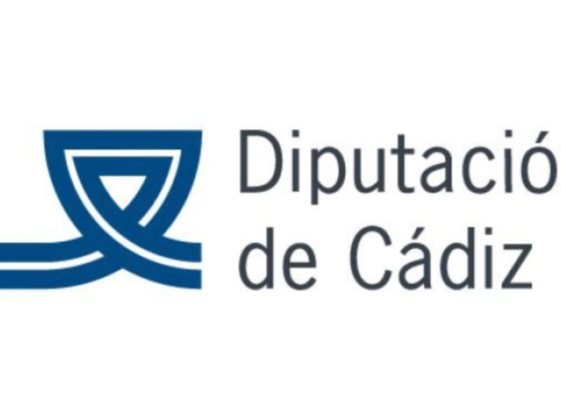 Logo de la Diputación de Cádiz con diseño gráfico de color azul y textura abstracta.
