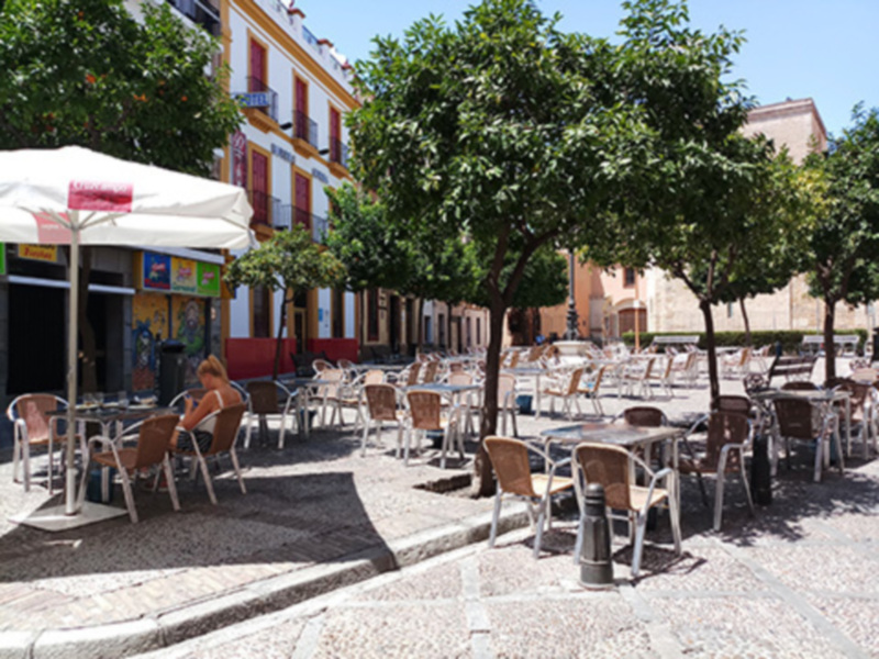 Terraza de café al aire libre con sombrillas y mesas en una plaza con árboles y edificios en el fondo.