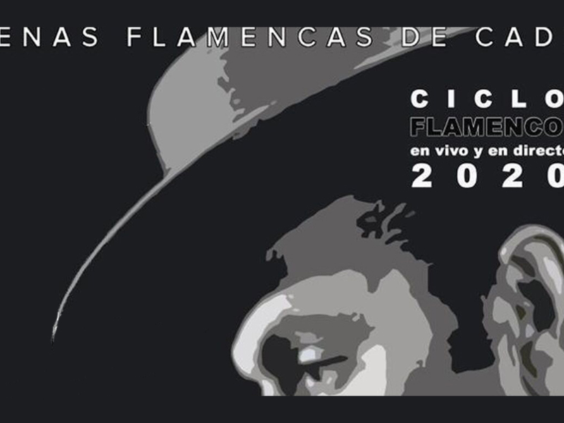Cartel del Ciclo Flamenco de Cádiz 2020, con silueta de bailaora y texto en blanco sobre fondo oscuro.