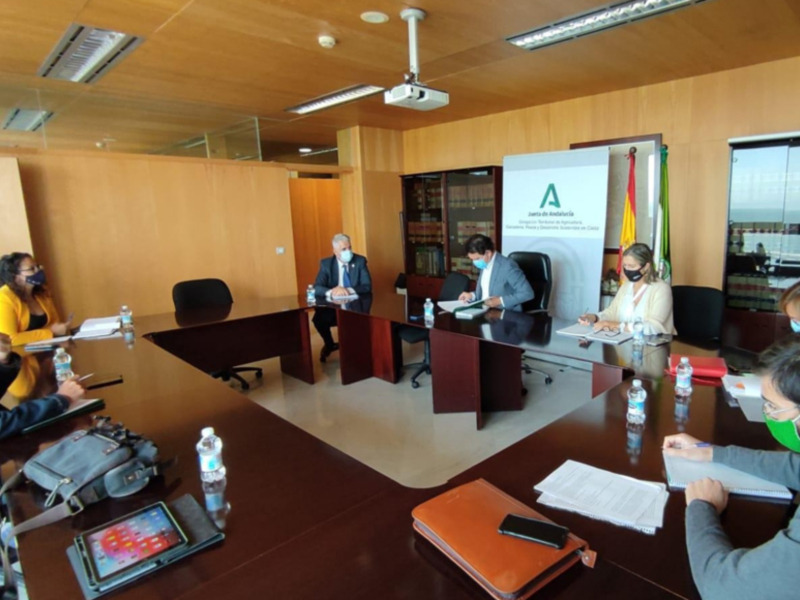 Reunión de trabajo en una sala de reuniones con participantes en trajes y mascarillas, documentos y tecnología en la mesa.