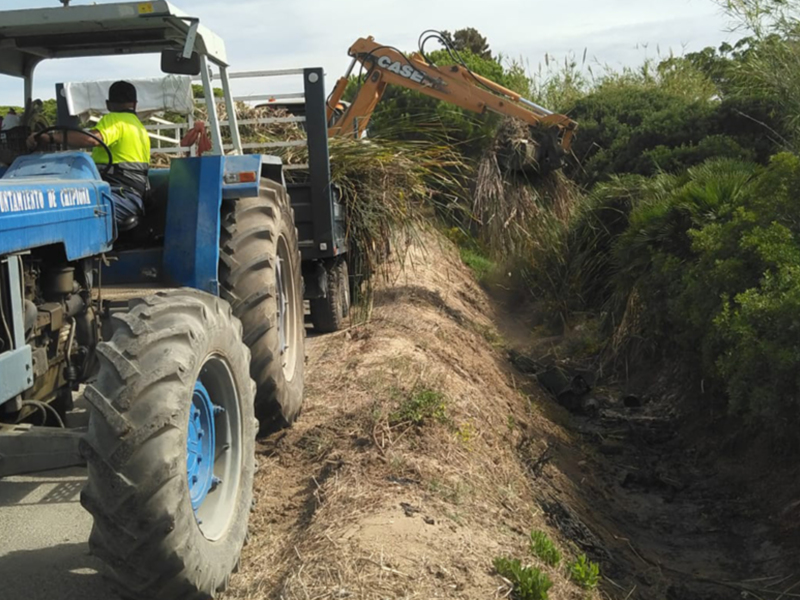 Excavadora trabajando en un terreno con vegetación y un tractor azul en primer plano.