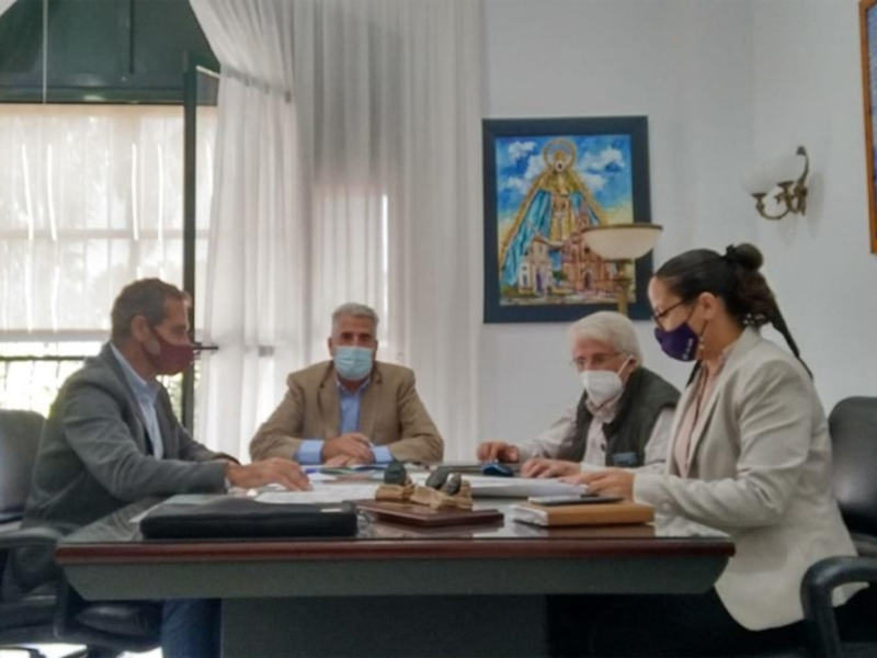 Reunión de trabajo en un entorno formal con participantes usando mascarillas por precaución.