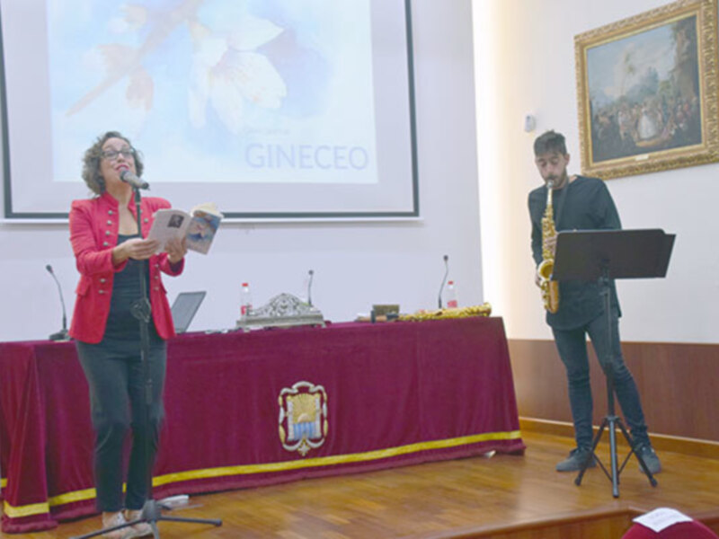 Presentación de libro con proyección de ilustración y música en vivo.