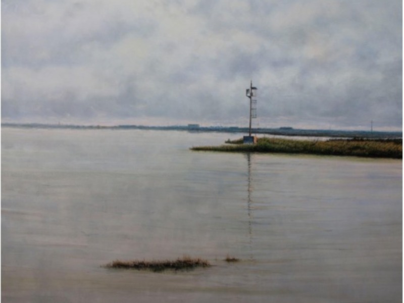 Un pequeño islote de vegetación se asoma en medio del agua, reflejándose en el lago. El cielo está cubierto de nubes grises, creando un paisaje tranquilo y melancólico.