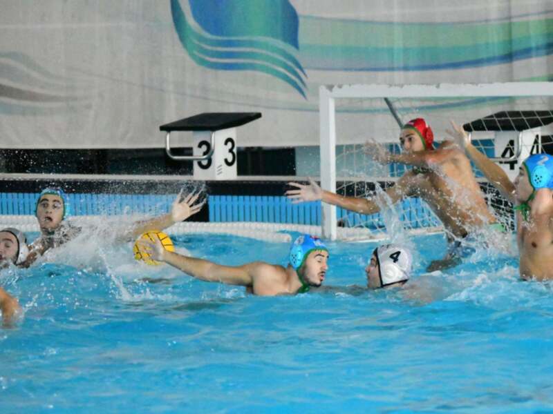 Jugadores de waterpolo compiten por el balón en una piscina.