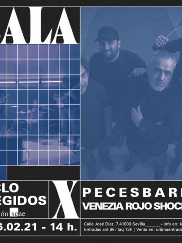 Sala Elegidos, Ciclo Pececesbarbaraba, Fundación Sgae, Sevilla, 6 de febrero de 2021, 14 horas.