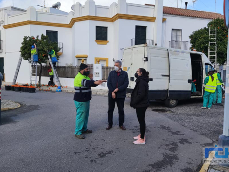 Personal municipal supervisa la plantación de árboles en Chirigona, con trabajadores en uniforme y una furgoneta de mantenimiento en el fondo.