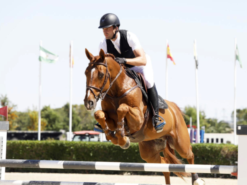 Jinete y caballo saltando obstáculo en competencia de salto de obstáculos.