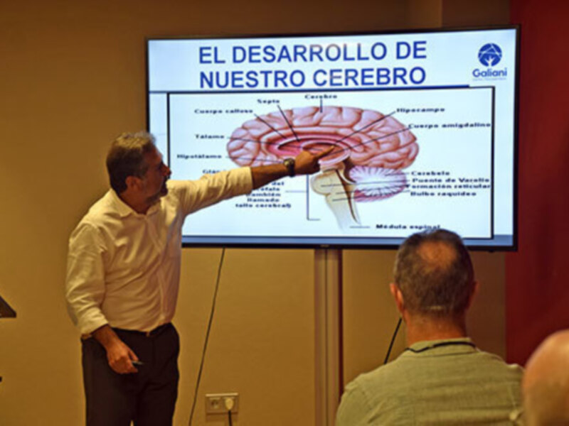 Charla sobre el desarrollo del cerebro humano, ilustrada con una diapositiva detallada.
