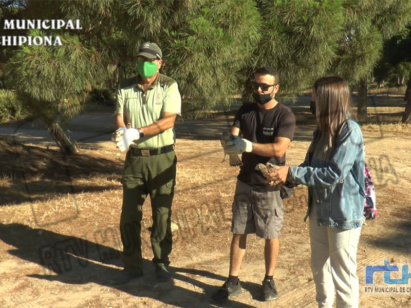 Tres personas en un parque, discutiendo con un guardia forestal.