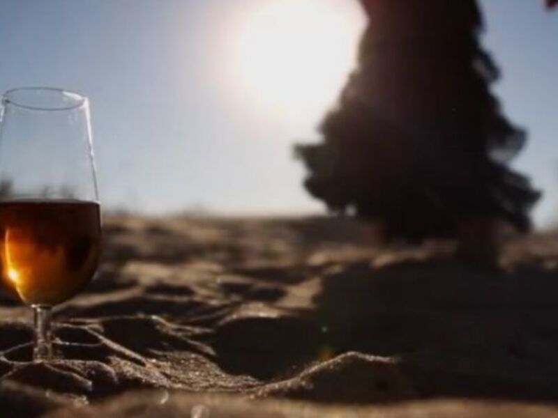 Isabel María Fernández se reúne con las bodegas de Chipiona dentro de los preparativos para la Exaltación al vino Moscatel