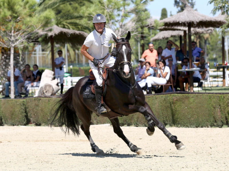 Jinete en competencia ecuestre, mostrando habilidad y concentración mientras monta a un caballo negro en un campo de arena. En el fondo, espectadores disfrutan del evento bajo sombrillas de paja.