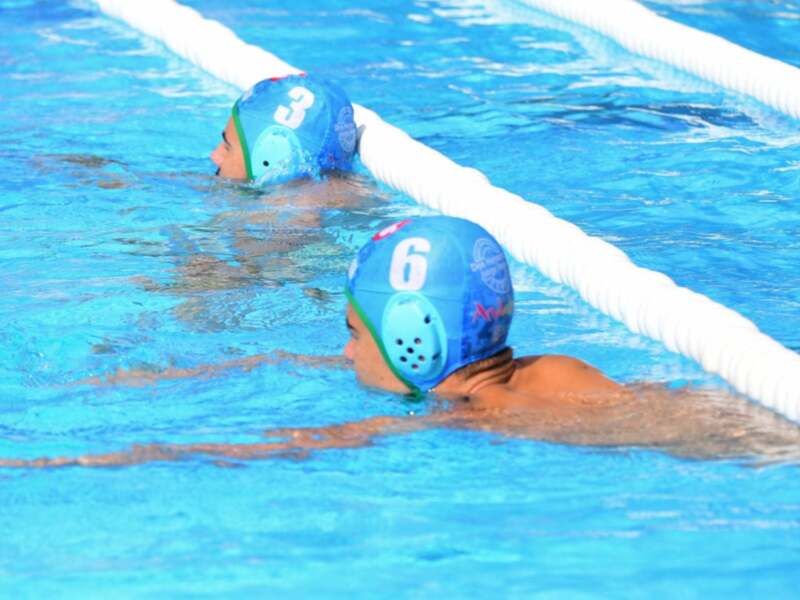 Dos nadadores en una piscina azul, uno con el número 3 y otro con el número 6, ambos usando cascos de natación azules.