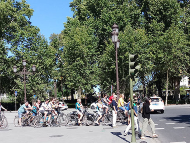 Grupo de ciclistas esperando en una intersección con semáforo en una calle arbolada.