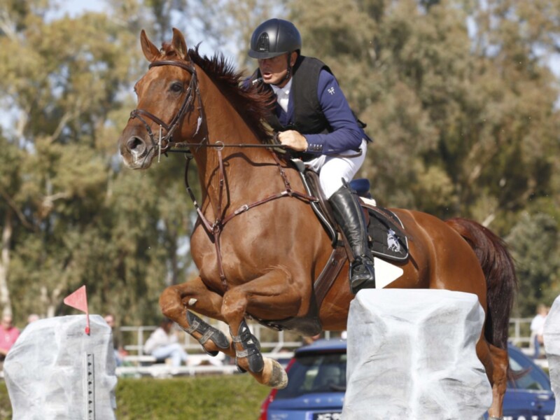 Jinete y caballo en pleno salto durante un evento ecuestre al aire libre.