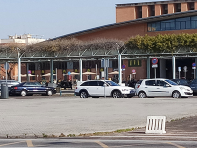 Estas son las pérgolas que metieron a la ciudad de Sevilla en el Libro Guinness de los Records.